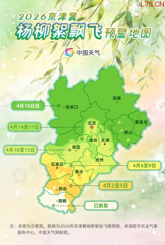 为什么不能把杨柳树都砍了?官方回应