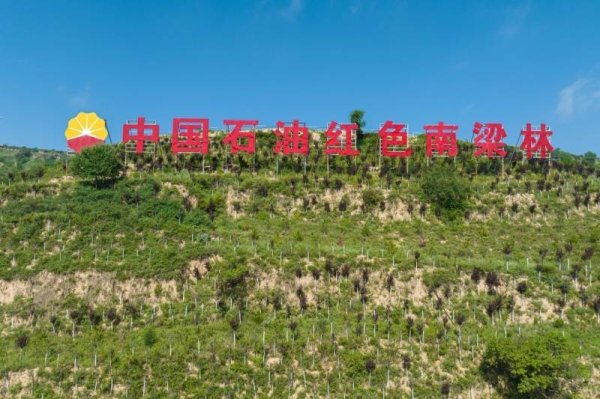 青绿入画来 中国石油长庆油田交出绿色发展新答卷