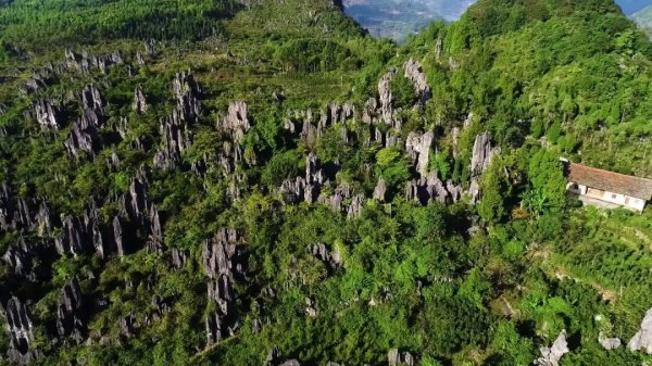 专访科学家周琦：贵州蕴藏巨大黄金找矿空间