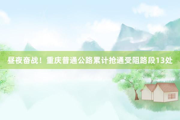 昼夜奋战！重庆普通公路累计抢通受阻路段13处