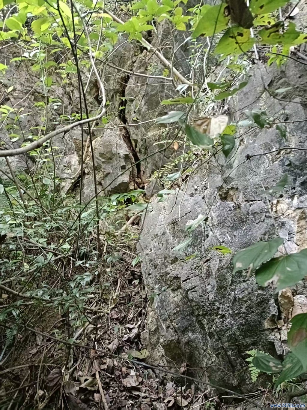 山体崩塌前一个小时，侯开云上山拍摄的岩石裂缝。