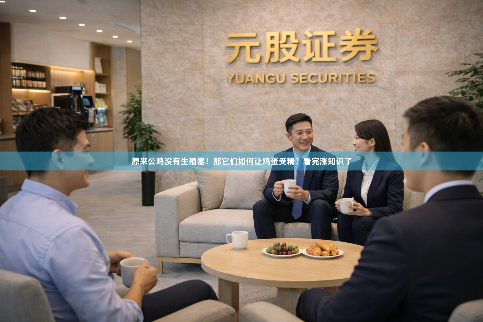 原来公鸡没有生殖器！那它们如何让鸡蛋受精？看完涨知识了