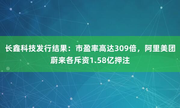 长鑫科技发行结果：市盈率高达309倍，阿里美团蔚来各斥资1.58亿押注