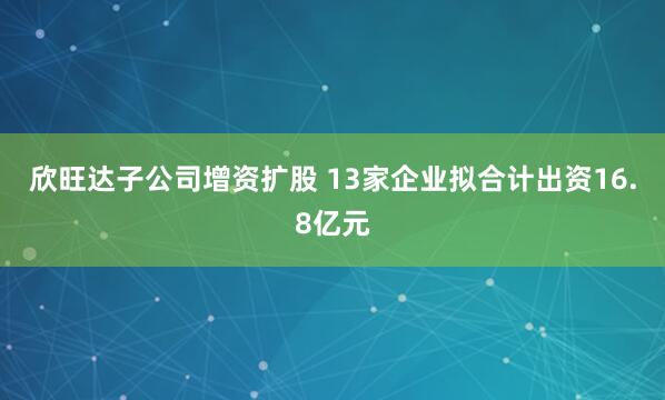 欣旺达子公司增资扩股 13家企业拟合计出资16.8亿元
