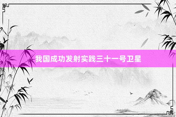 我国成功发射实践三十一号卫星